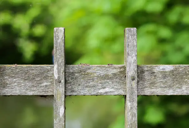 Photo of Wooden Bridge Fence Plank Covered in Lichen and Moss