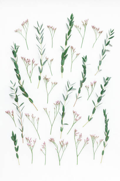 istock Pattern made of pink flowers and eucalyptus branches 674454196