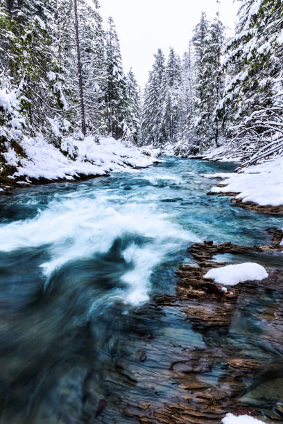 istock Winter scene with Tatra Mountain stream in the forest 674463262