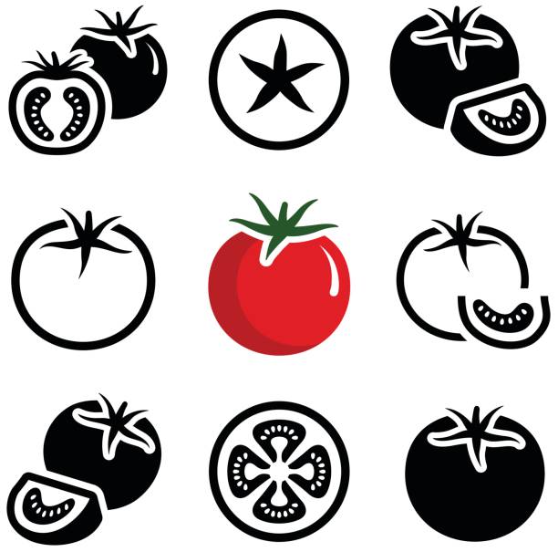 Tomato Tomato vegetable icon collection - vector outline and silhouette tomato slice stock illustrations