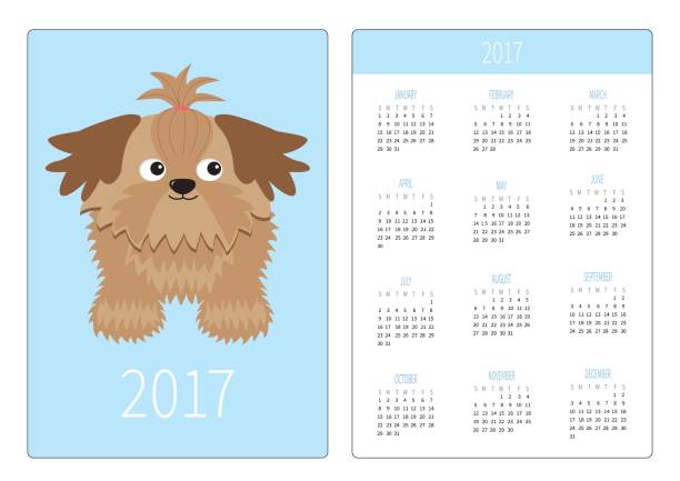 istock Pocket calendar 2017 year. Little glamour tan Shih Tzu dog. 674490284