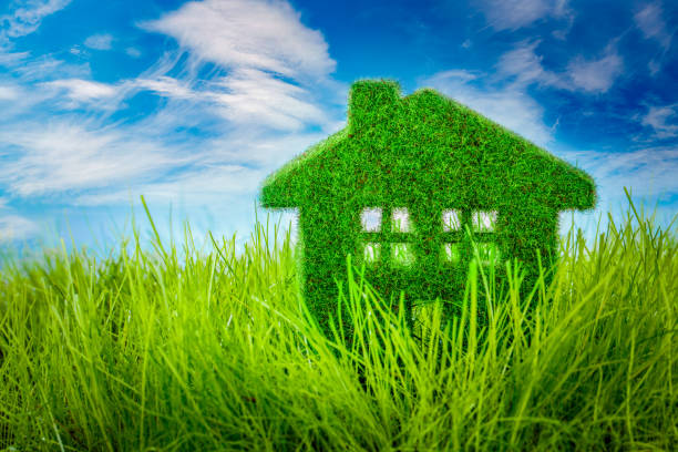 istock House on the green grass 674494736