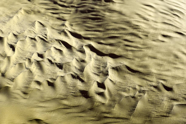 istock Khaki color. Natural texture and background of the desert. Sand patterns 674502850
