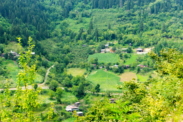 istock Macahel Valley in Eastern Black Sea, Artvin, Turkey. 674520716