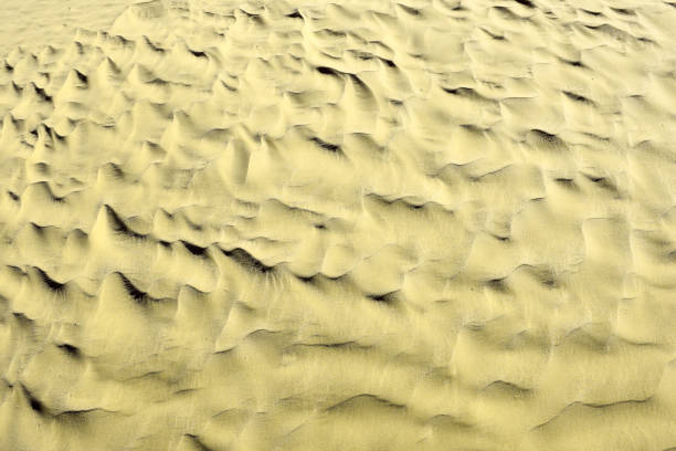 istock Khaki color. Natural texture and background of the desert. Sand patterns 674522310