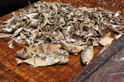 Dried fish on the ground in a tropical country