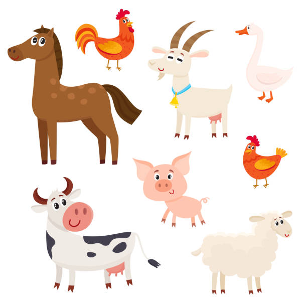 illustrazioni stock, clip art, cartoni animati e icone di tendenza di animali da fattoria - mucca, pecora, cavallo, maiale, capra, gallo, gallina, oca - farm animal cartoon cow