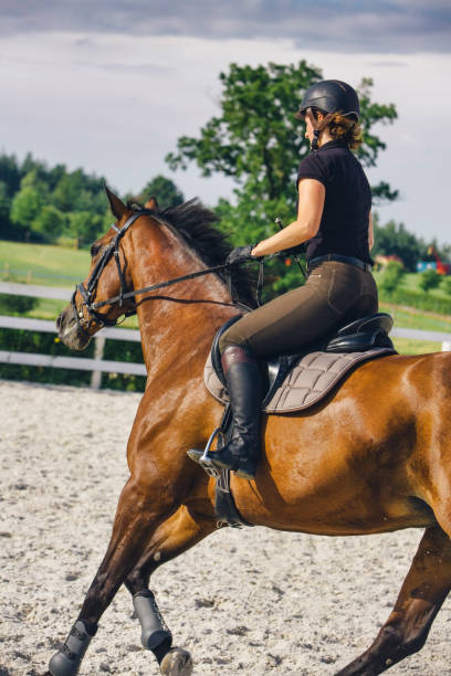 istock Woman Riding a Horse in Jumper Ring 674570978