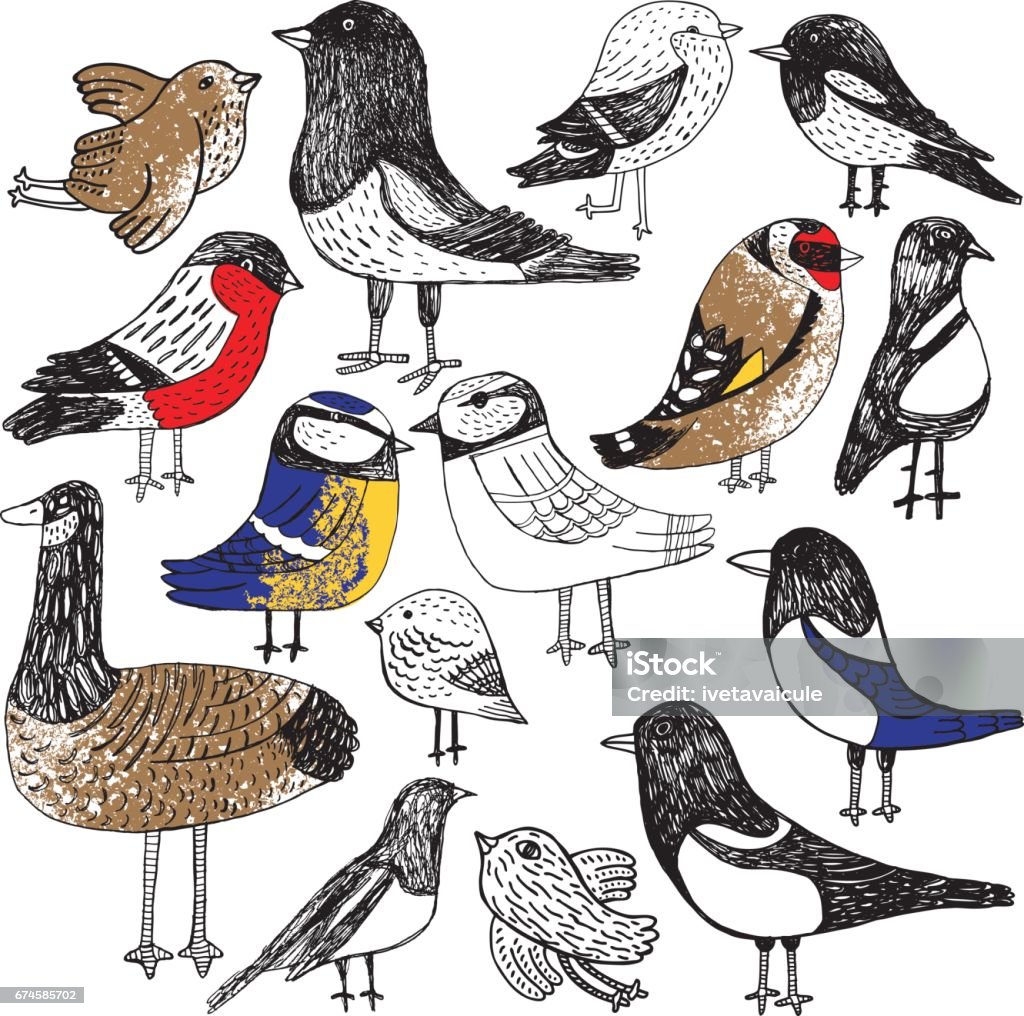 Set of hand drawn birds Hand drawn vector illustration of birds Bird stock vector