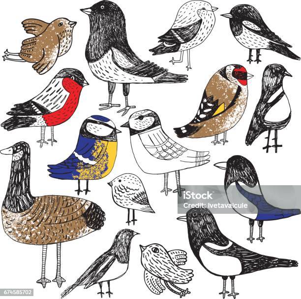 Set Of Hand Drawn Birds Stock Illustration - Download Image Now - Bird, Drawing - Art Product, Sparrow