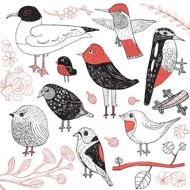 Vector illustration of Set of hand drawn birds
