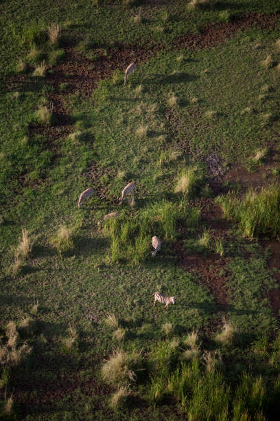 istock Kenya from the air 674603004