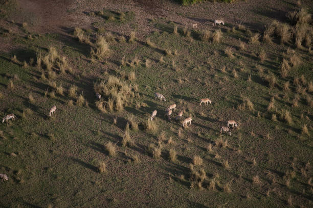 istock Kenya from the air 674603008