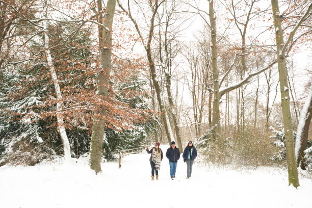 istock Friends Walking in Snow Woods 674613632