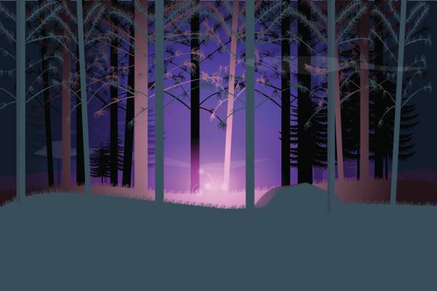 Magical flower glow at night forest Magical flower glow at night forest.Vector illustration silhouette evergreen tree back lit pink stock illustrations