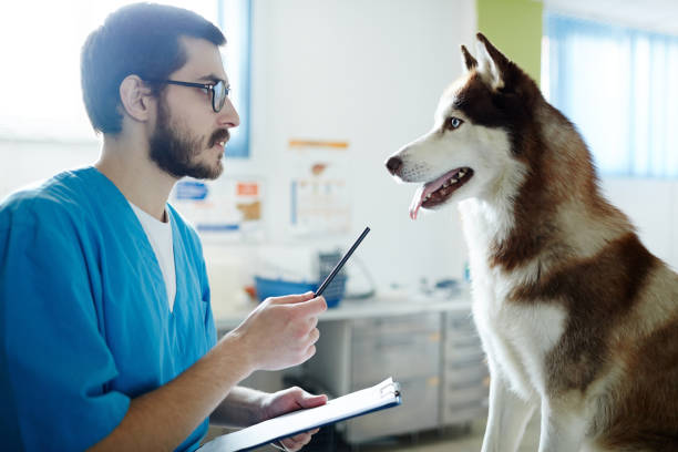 istock Prescription to dog 674631896