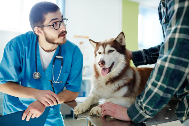 istock Medical consultation 674631922