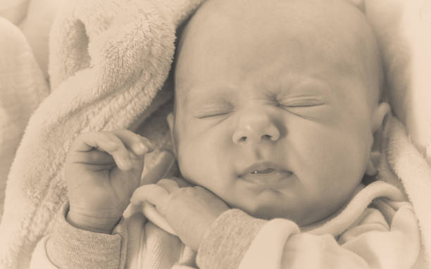 istock Little newborn baby sleeping calmly in blanket 674634992