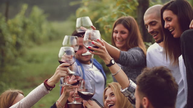 Group of friends toasting with red wine in the vineyard
