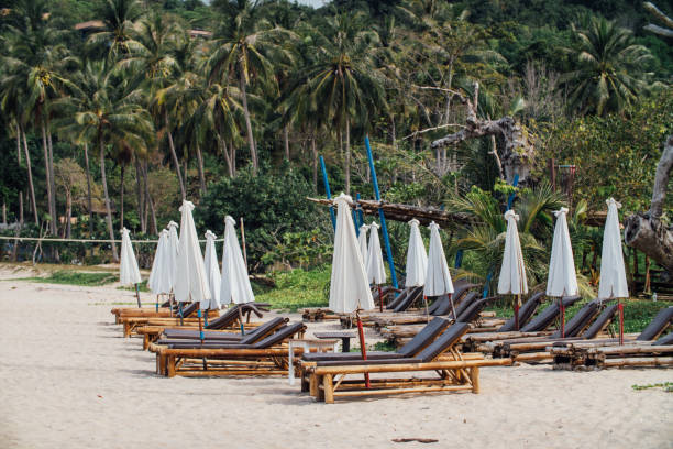 Bamboo Loungers on the beach in front of the hotel, white umbrellas Bamboo Loungers on the beach in front of the hotel, white umbrellas. water bungalow maldives stock pictures, royalty-free photos & images