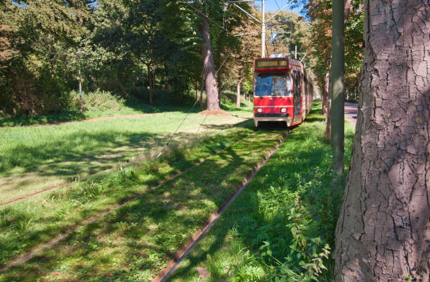 istock Red tram in The Hague 674640608