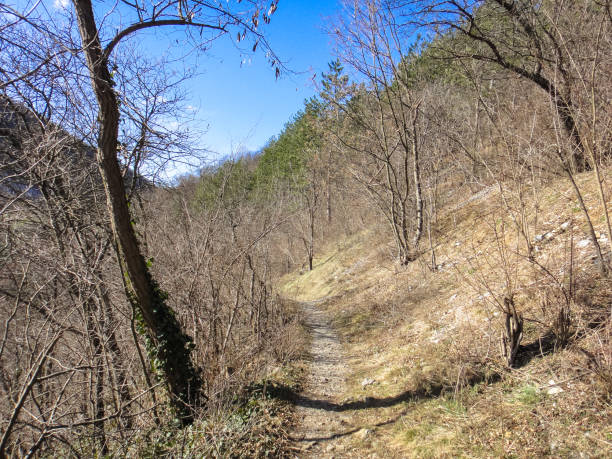 istock Serbian nature. Mountains near Uzice town 674640732