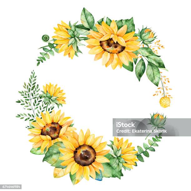 Colorful Floral Wreath With Sunflowers Stock Illustration - Download Image Now - Sunflower, Watercolor Painting, Illustration