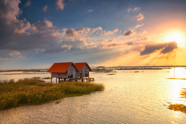 небольшая деревянная хижина в chaloem phrakiat 80 phansa rd., phatthalung, таиланд - fishing hut стоковые фото и изображения