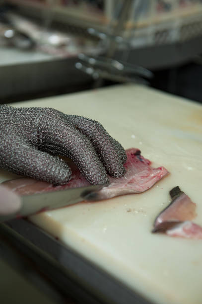 Cleaning the Trout Trout being prepared, cleaned, and cut into fillet, inside an industrial kitchen, fully sanitized for later consumption. proteína stock pictures, royalty-free photos & images