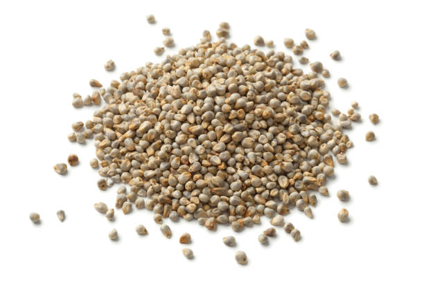 istock Heap of pearl millet 674666636