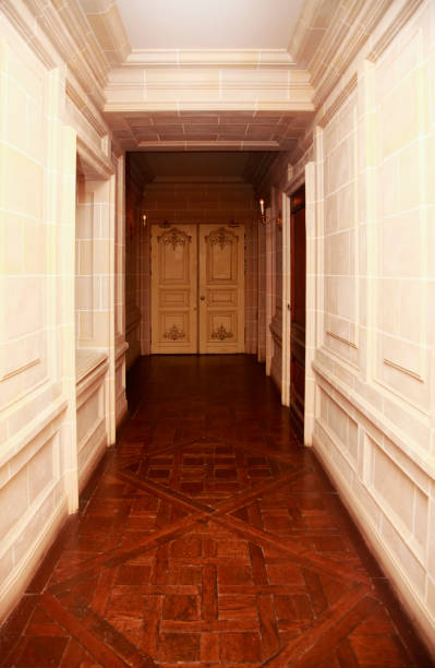 istock Long corridor with a beautiful door 674667466