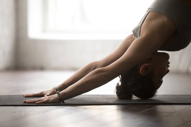 Young attractive woman in adho mukha svanasana pose, white studi Young attractive woman practicing yoga, standing in Downward facing dog exercise, adho mukha svanasana pose, working out, wearing sportswear bra, white loft studio background, close up bending over backwards stock pictures, royalty-free photos & images