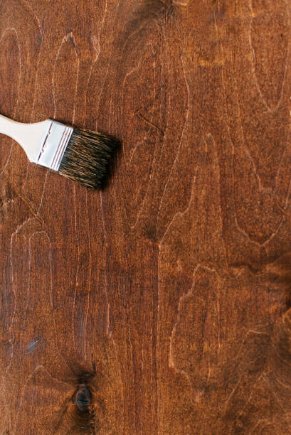 istock The brush on the board lies 674684004
