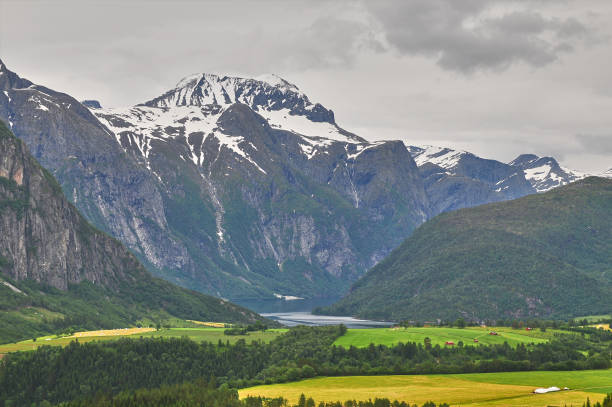 Grass, lake, farm, meadow in Norway. stock photo