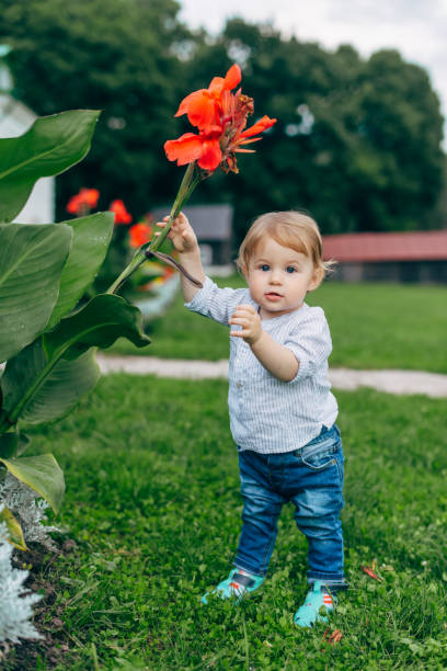 istock Mom and son watching flowers 674701678