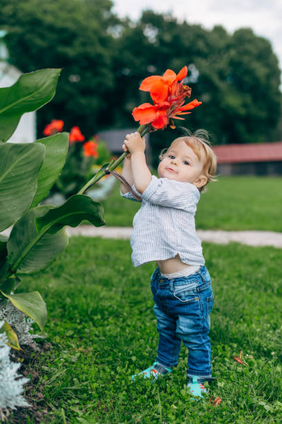 istock Mom and son watching flowers 674702008