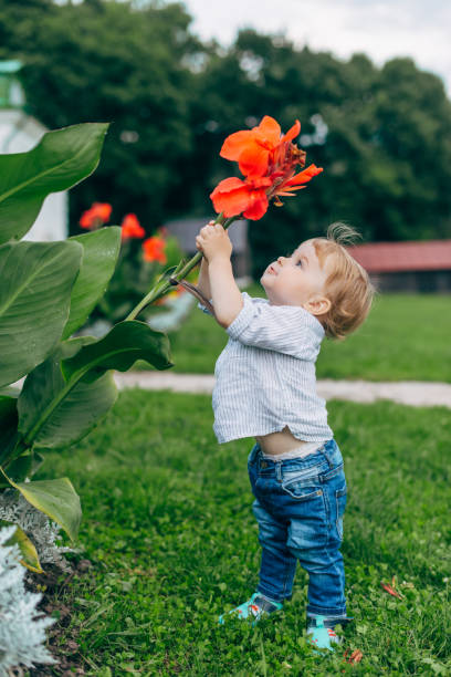 istock Mom and son watching flowers 674705356