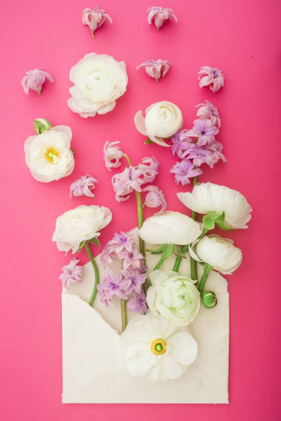 istock Beautiful spring flowers and paper envelope on pink background. Flat lay, top view. Flowers background. 674711094