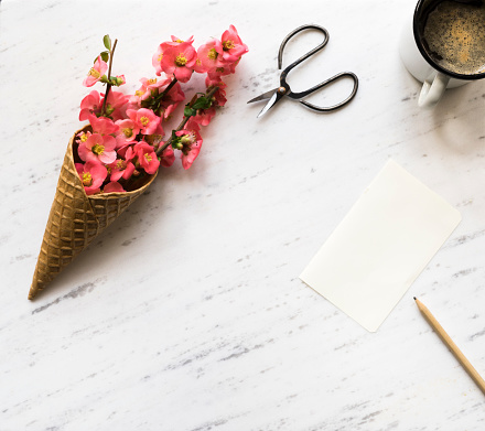Flowers in ice cream cone on marble background
