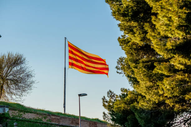 istock Catalonia flag waving on the wind 674717320