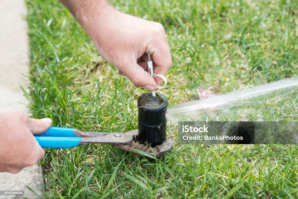 Sprinkler Head Adjustment for Home Lawn Irrigation System A pop-up sprinkler system head is being adjusted with a key to decrease or increase radius of the spray. Sprinkler Stock Photo