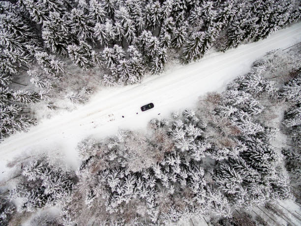 istock aerial view of winter forest from drone 674727068