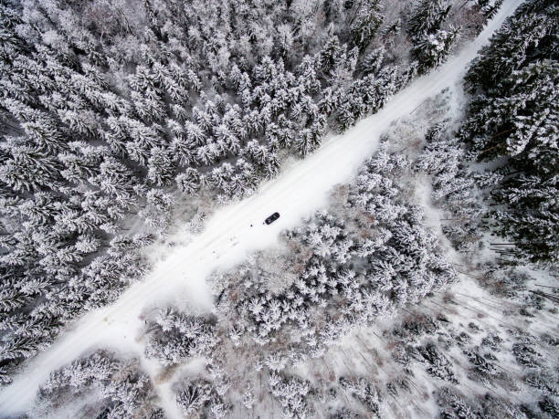 istock aerial view of winter forest from drone 674727582
