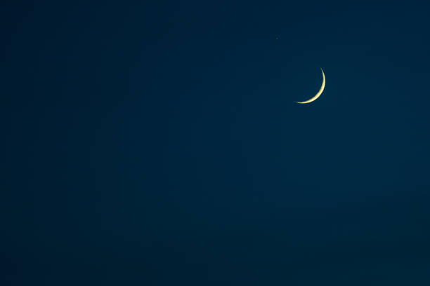 ilustraciones, imágenes clip art, dibujos animados e iconos de stock de nueva luna encerada en el cielo nocturno - luna creciente