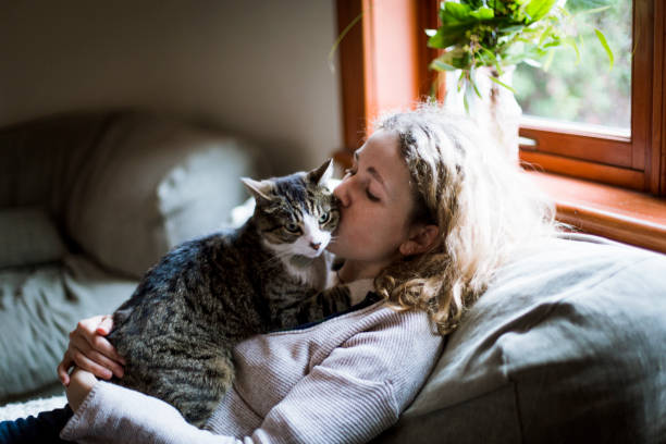 una niña y un gato juntos en un sofá - women sofa teenage girls hairstyle fotografías e imágenes de stock