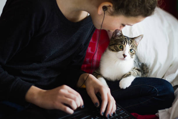 istock A tennage girl using a laptop with  cat beside her 674743366
