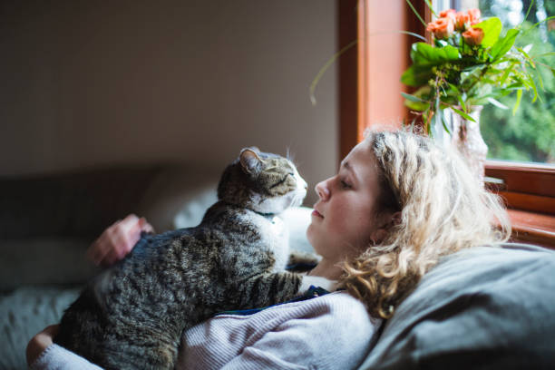 istock A girl and a cat together on a sofa 674744032