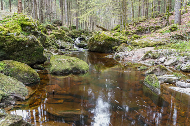 Flume in Spiegelau in the bavarian forest