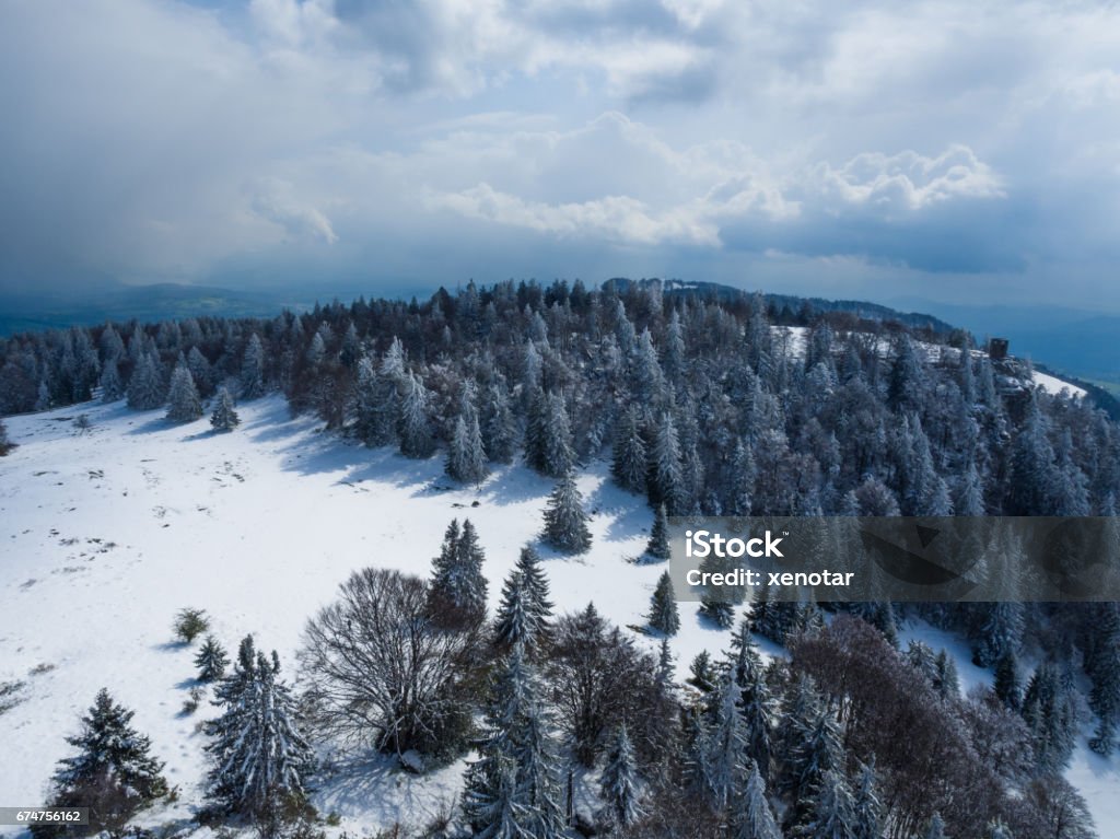Bird view of Mt.Salève around Geneva Aerial View Stock Photo