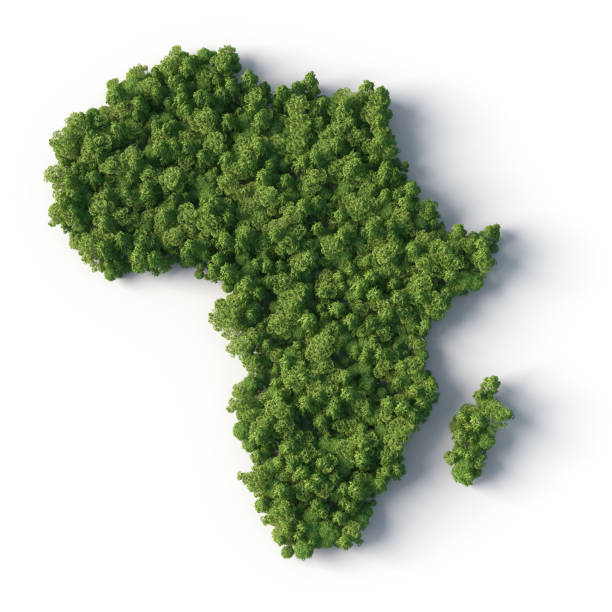 bosque en forma de mapa de áfrica - objects with clipping paths continent 3d render map fotografías e imágenes de stock